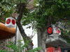 A thumbnail of Wasabi Tei (Closed): (3). Restaurant