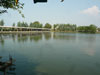 A thumbnail of Jomtien Fishing Park: (1). Activity