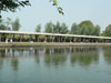 A thumbnail of Jomtien Fishing Park: (2). Activity
