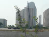 A thumbnail of View talay Jomtien Condominium Project 3: (7). Building