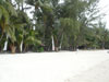 A thumbnail of Dolphin Bungalows: (4). Hotel