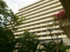 A thumbnail of Hilton Phuket Arcadia Resort & Spa: (6). Hotel