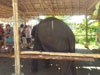 A thumbnail of Phuthai Souvenir Market: (10). Store