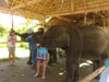 A thumbnail of Phuthai Souvenir Market: (11). Store