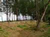 A thumbnail of Sunset Breeze Restaurant & Bar: (6). The beach in front of the restaurant