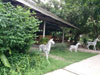 A thumbnail of Rimlay Borae Seafood: (1). Restaurant
