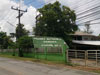 A thumbnail of Phuket Butterfly Garden & Insect World (Closed): (2). Amusement