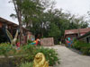 A thumbnail of Phuket Bird Paradise: (2). Amusement