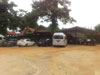 A thumbnail of Phuchada Safari: (3). Activity
