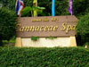 A thumbnail of Cannaceae Spa: (2). Spa