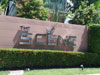 A thumbnail of The Scene: (2). Building