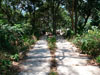 A thumbnail of Laem Sing Beach: (10). Sub Area