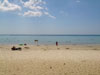 A thumbnail of Kamala Beach: (12). Sub Area