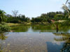 A thumbnail of Laguna Phuket: (9). Banyan Tree Phuket