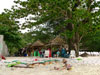 A thumbnail of Long Beach - Coral Island: (13). Sub Area