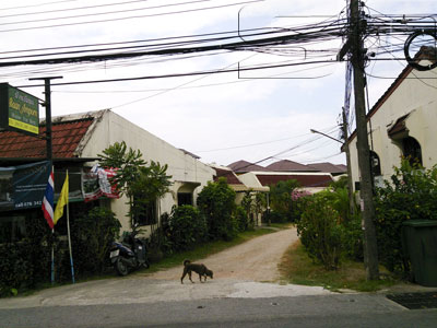 ภาพของ บ้านอัมพร