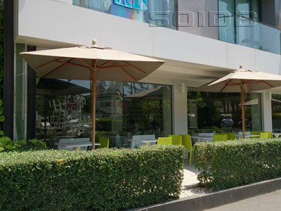 ภาพของ ร้านอาหาร ตาลโตนด