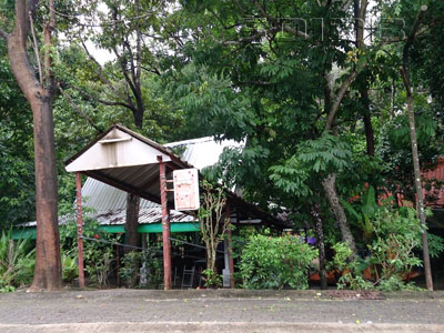 A photo of Khrua Phailin
