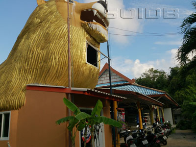 A photo of Lion Muay Thai Training Camp