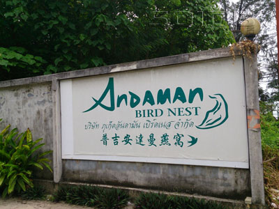 A photo of Andaman Bird Nest