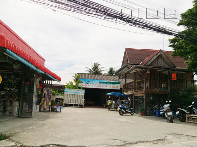 A photo of Raya Princess Tour