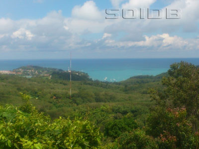 A photo of Yon Bay