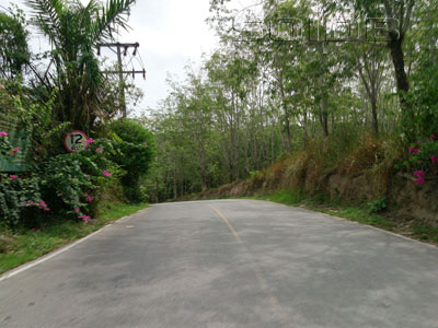 A photo of Soi Layan 7