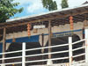 A thumbnail of New Lapaz Villa: (4). Hotel