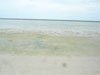 A thumbnail of The Island Resort: (11). Hotel