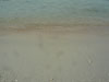 A thumbnail of Silver Beach Resort & Restaurant: (7). Hotel