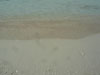 A thumbnail of Silver Beach Resort & Restaurant: (8). Hotel