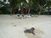 A thumbnail of Sand Sea Resort & Spa: (9). Hotel