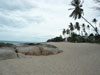 A thumbnail of Paradise Bungalow: (8). Hotel