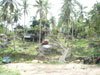A thumbnail of Thongtip Garden Home: (1). Restaurant