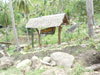 A thumbnail of Thongtip Garden Home: (3). Restaurant