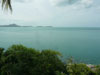 A thumbnail of Dr Frogs: (3). Restaurant