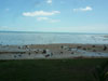 A thumbnail of Koh Samui Hospital: (5). Hospital