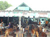 A thumbnail of Ark Bar: (2). Bar/Pub