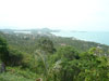 A thumbnail of View Point - The Jungle Club: (3). View Point
