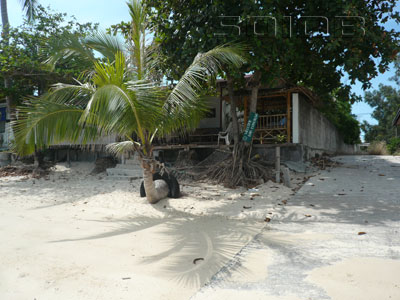 A photo of Full Moon Beach Bar & Bungalows