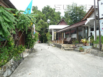 Mui Bungalow [Koh Samui - Hotel] - SoiDB Thailand