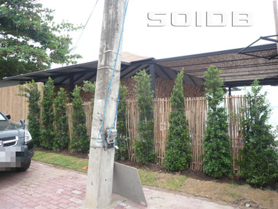 A photo of Buco Restaurant & Bar