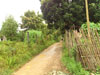 A thumbnail of Apartment for Rent: (3). Apartment